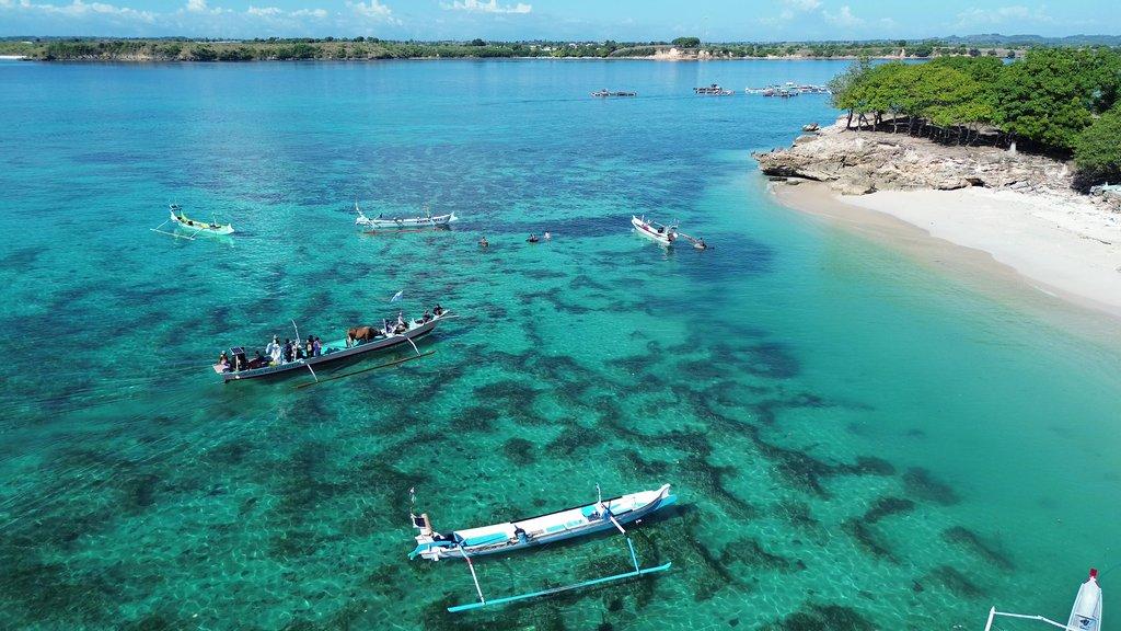 Mengantar Bahagia Qurban ke Pulau Maringkik  - Cover Image